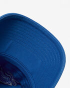 Detroit Lions Dad Cap