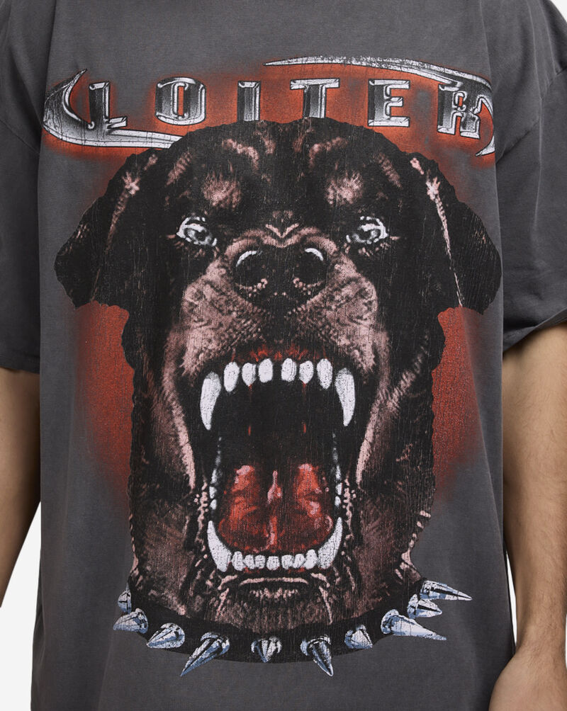 Loiter Dog House Vintage Acid Spray Tee LTIDOGHSEVINT-GRY Grey 3