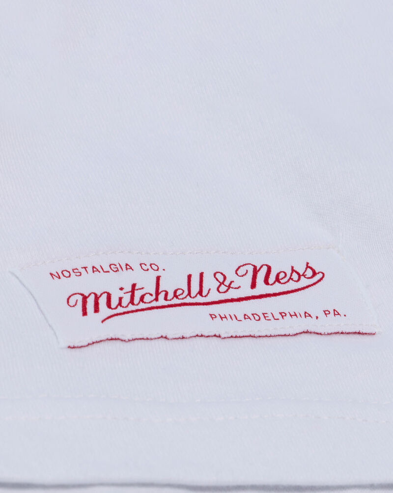 Mitchell  Ness Detroit Stars Riley Greene Traditional Tee SS19281-DSAWHBL White 6