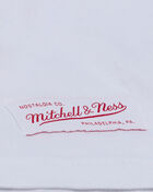 Mitchell  Ness Detroit Stars Riley Greene Traditional Tee SS19281-DSAWHBL White 6