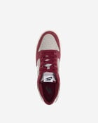 Nike Dunk Low Retro SE IB6399-004 Red 7