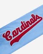 St. Louis Cardinals Classic Chenille Double Knit Jogger 