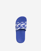 Grade School Cool Cat Bold BX Slides