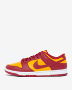 Nike Dunk Low DD1391-701 Gold 1