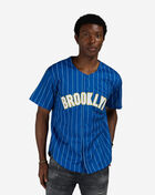 Mitchell  Ness Brooklyn Royal Giants Francisco Lindor Authentic Batting Practice Pinstripes Jersey JY19323-BRGMBYW Blue 1