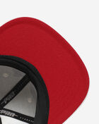 Philadelphia Roses Snapback Hat