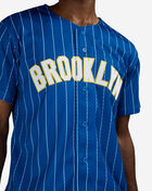 Mitchell  Ness Brooklyn Royal Giants Francisco Lindor Authentic Batting Practice Pinstripes Jersey JY19323-BRGMBYW Blue 4