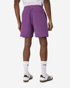 SNIPES Essential Logo Fleece Shorts SNQ124004M-GRP Purple 2
