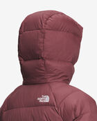 Hyalite Down Hoodie