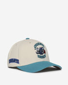 Charlotte Hornets Game on Pro Snapback Hat