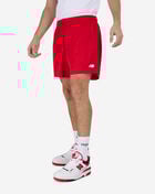 Sport Essentials Mesh Shorts