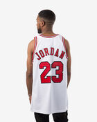 Chicago Bulls Michael Jordan 1995-1996 Authentic Jersey 