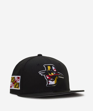 59Fifty Delmarva Shorebirds Fitted Hat