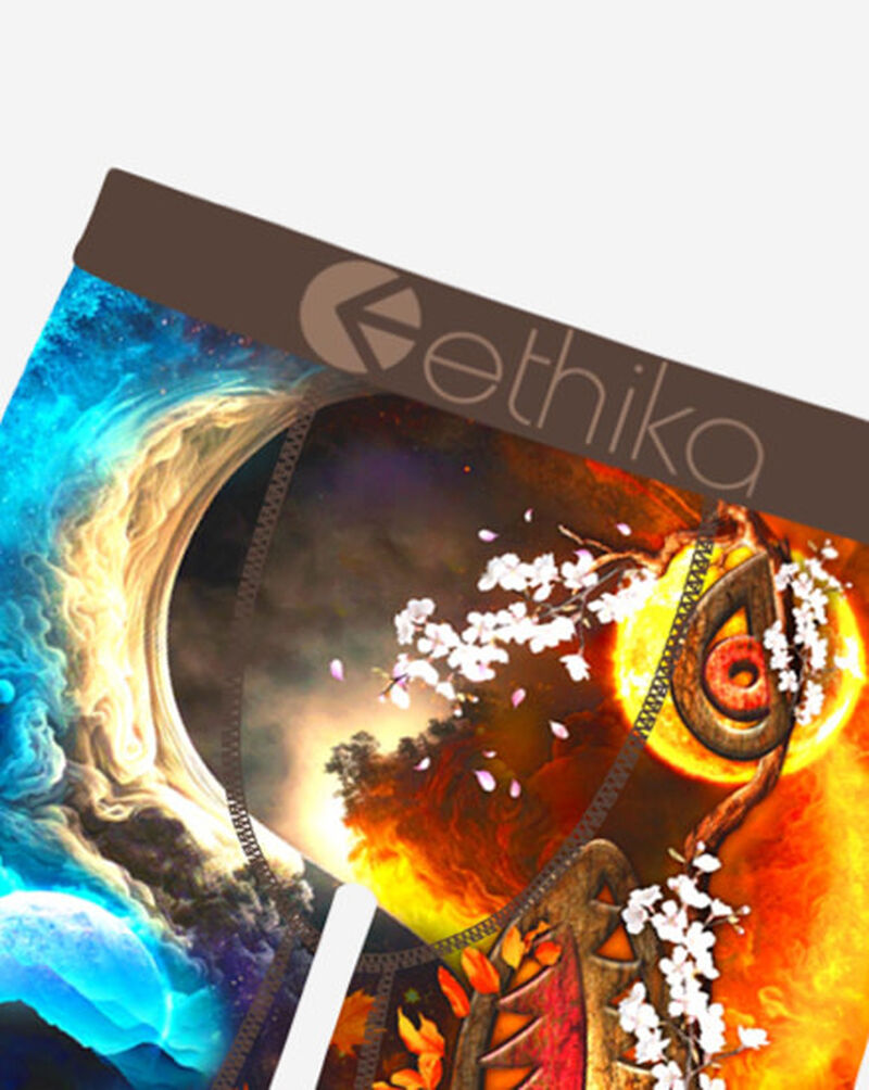 Ethika Grade School BMR Tree Briefs BLST3532 Multi 2