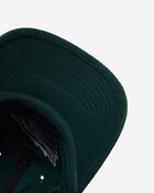 Philadelphia Eagles Clean Up Dad Cap