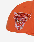 Detroit Tigers Back to Basics Snapback Hat