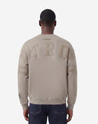 PRO STANDARD Detroit Lions Wingspam Drop Shoulder Crewneck FDL5410526-TAU Beige 3