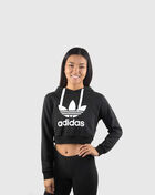 Cropped Hoodie