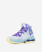 Grade School Lebron 19