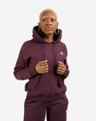 Reverse Weave Pullover Hoodie