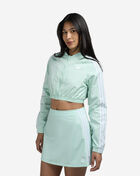 Adicolor Teamgeist Cropped Track Top