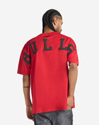 PRO STANDARD Chicago Bulls Wingspan Jersey Drop Shoulder Tee BCB1515825-RED Red 2