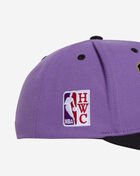 Toronto Raptors Crown Jewels Pro Snapback Hat
