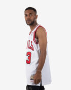Chicago Bulls Michael Jordan 1995-1996 Authentic Jersey 