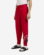 Logo Joggers