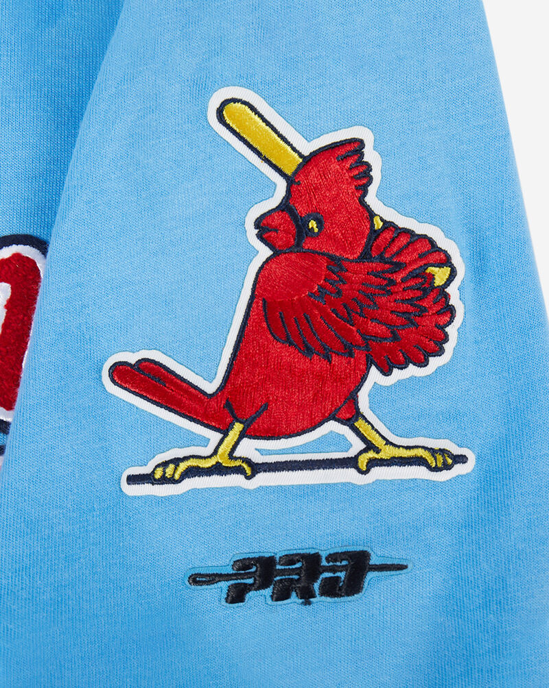 PRO STANDARD Big Boys' St. Louis Cardinals Retro Classic Striped Rib Tee LSCB1315094-UNI Blue 2