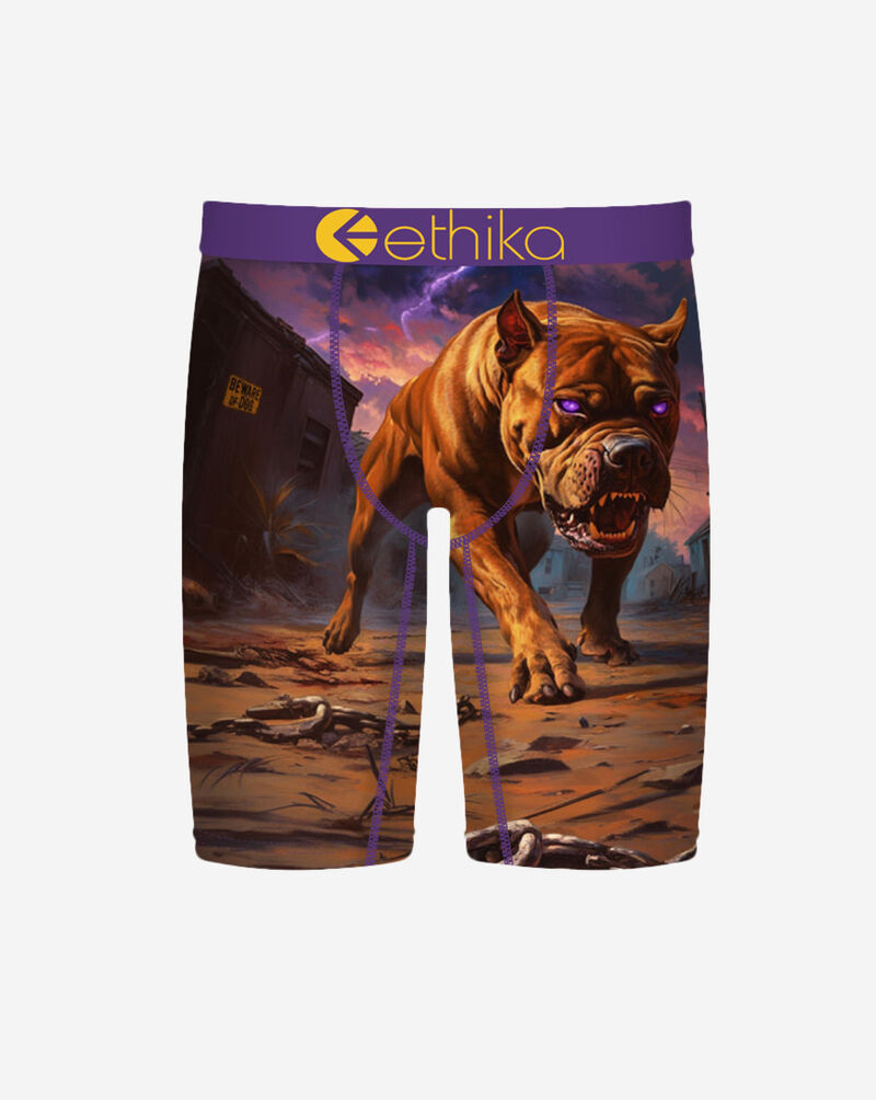 Ethika Terro Terrier Briefs MLUS3587 Multi 1