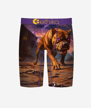 Terro Terrier Briefs