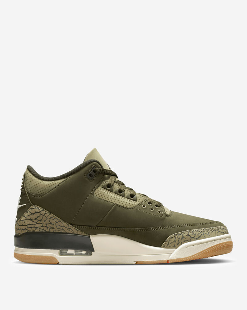 Jordan Air Jordan 3 Retro DN3707-202 Green 3
