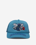 Charlotte Hornets Puff the Magic Trucker