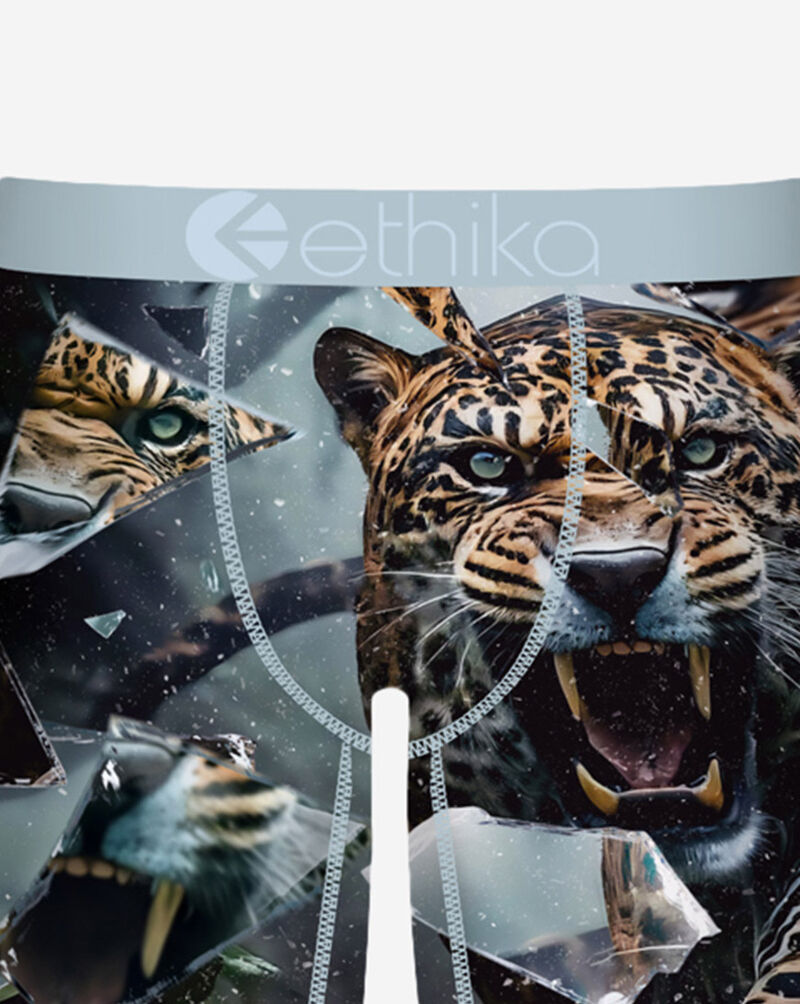 Ethika Grade School Shatter Cat Briefs BFAAAI2513 Multi 2