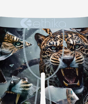 Grade School Shatter Cat Briefs