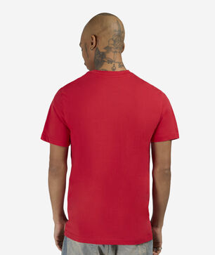 FOF Stained Glass Window Tee