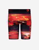 Dark Safari Briefs