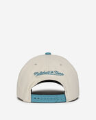 Charlotte Hornets Game on Pro Snapback Hat