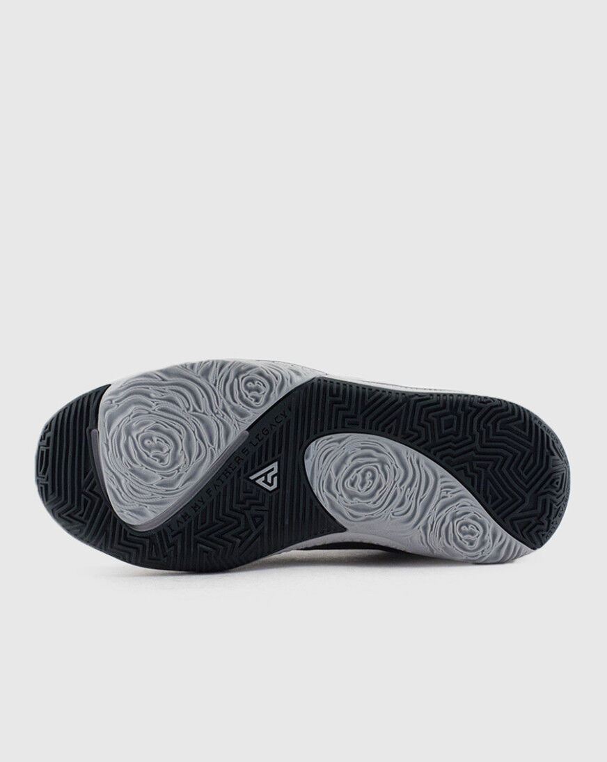 zoom freak 1 grade school