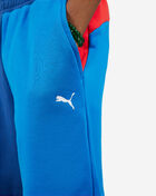 BMW Motorsport Essential Fleece Shorts