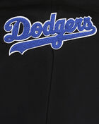 PRO STANDARD Los Angeles Dodgers Classic Fleece Pull Over Hoodie LLDC34404-BLK Black 2