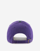 Arizona Coyotes 2-Tone Dad Cap