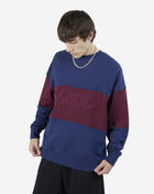 NSW Club Color Blocked Crew