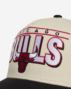 Chicago Bulls Billboard 2.0 Snapback Hat