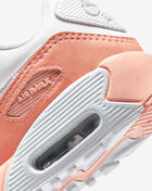 Grade School Air Max 90 LTR SE
