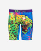 Ethika Jagwa Briefs MLUS2928 Multi 1