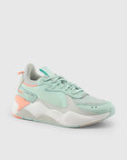 Rs-X Tracks