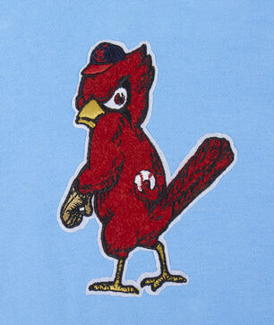 Big Boys' St. Louis Cardinals Retro Classic Rib Fleece Pullover Hoodie