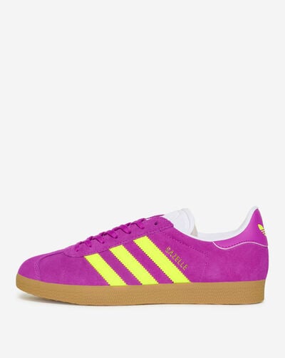 Gazelle